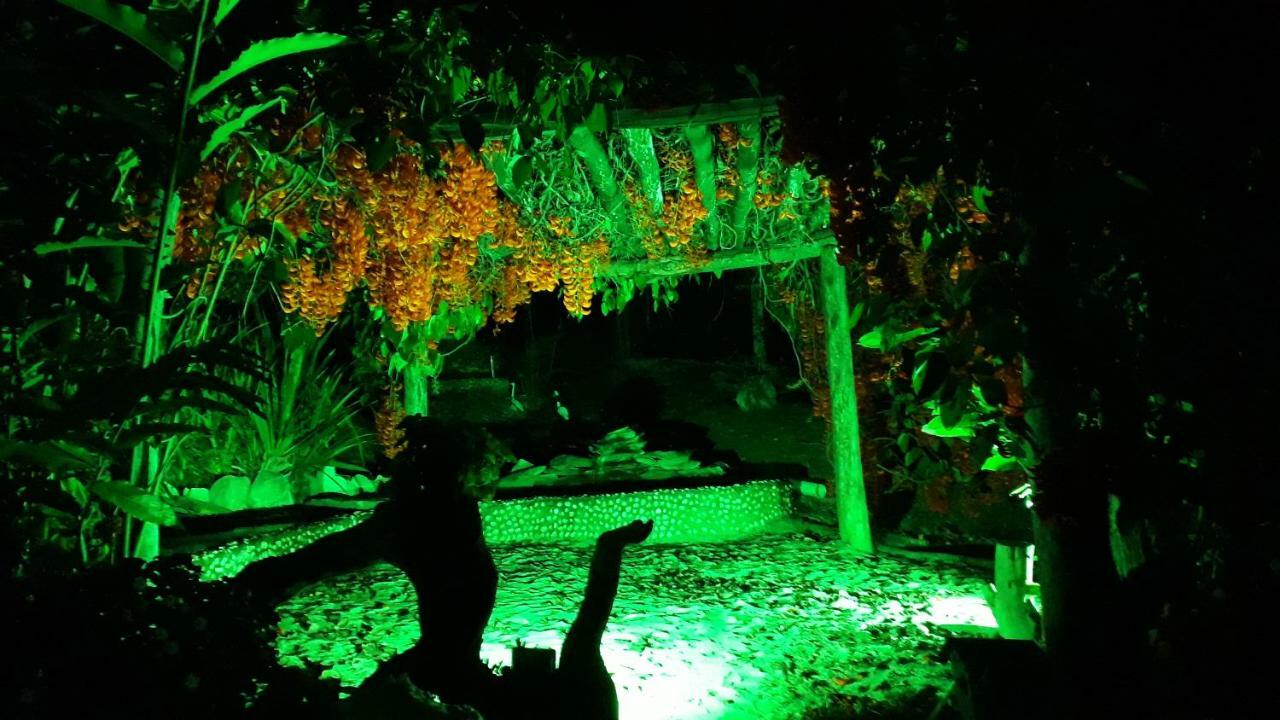 Pousada Cachoeira Poco Encantado Alto Paraíso de Goiás المظهر الخارجي الصورة